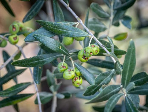 sue-winston-p6OYhBCcMzE-unsplash